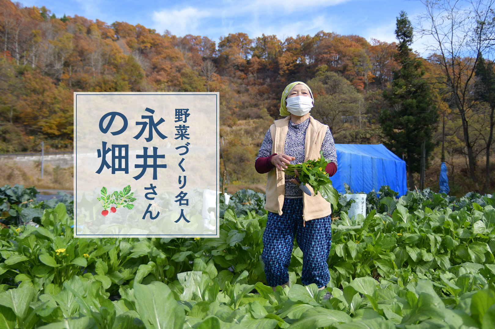 野菜づくり名人  永井さんの畑