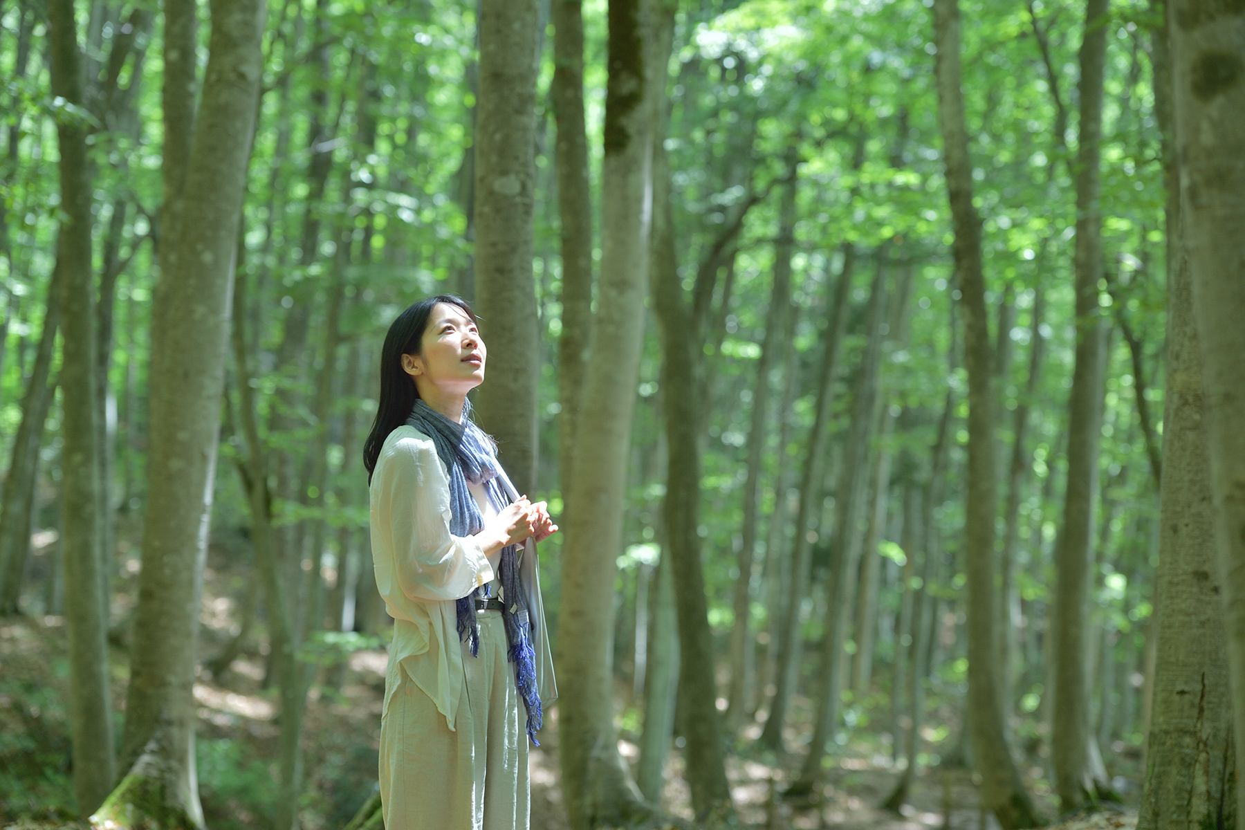 初夏-モデル・美人林