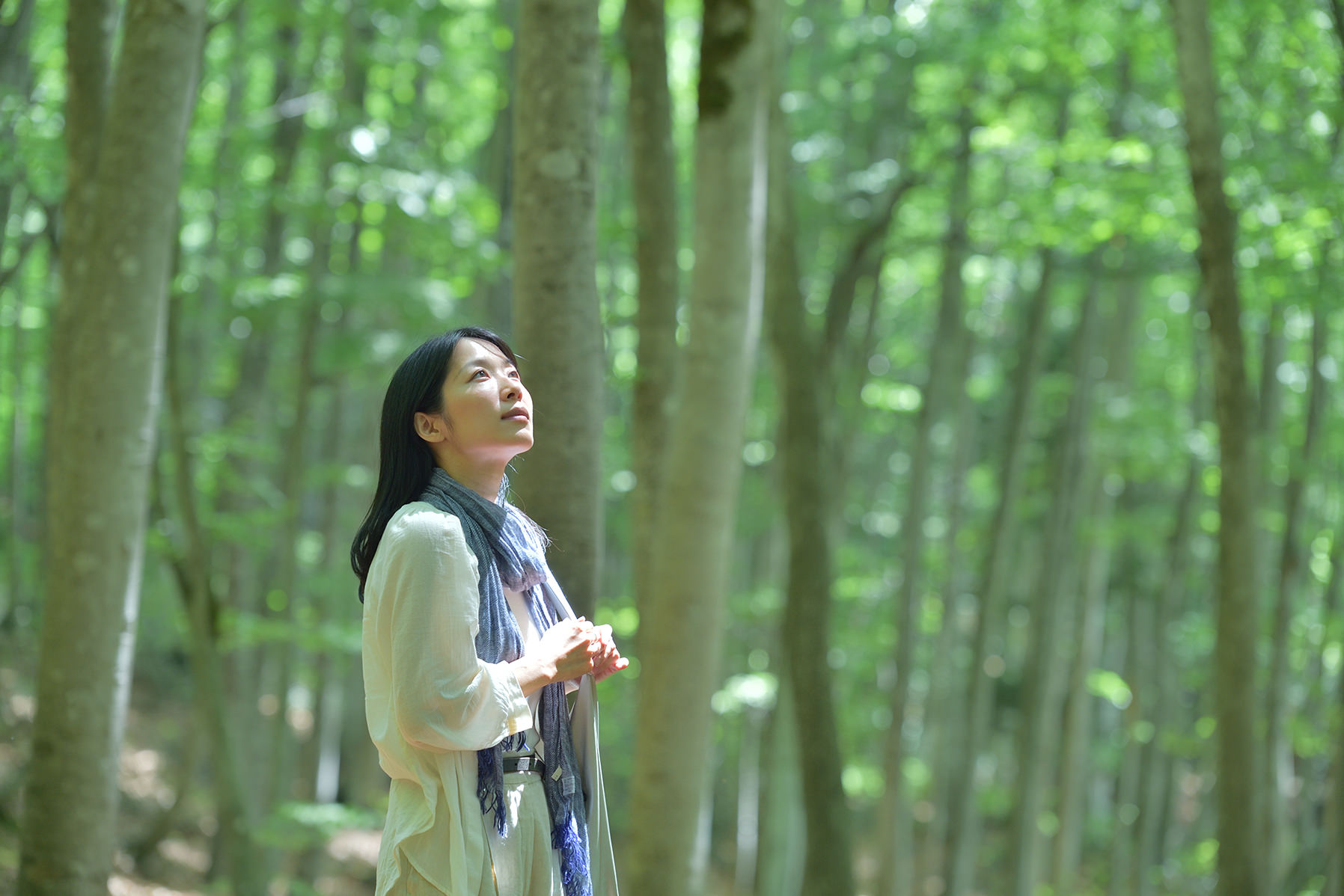 初夏-モデル・美人林